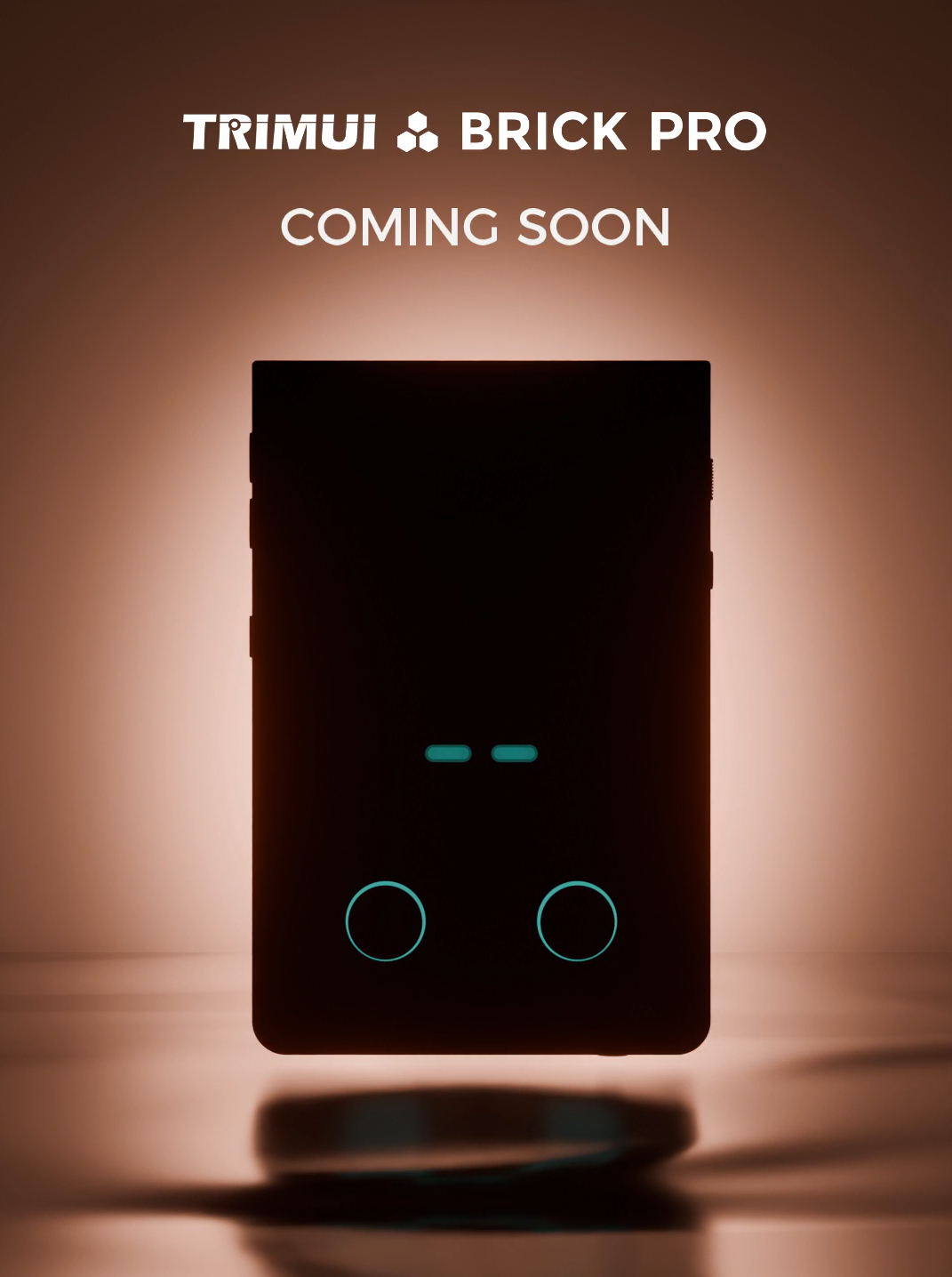 TRIMUI Brick Pro Handheld Console